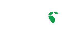 Draftpoint Logo White